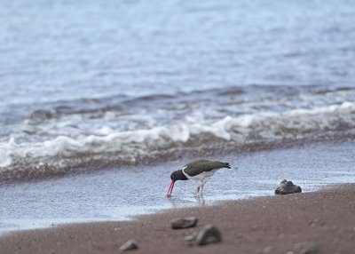 g10/40/624440/3/165782691.FjxQNZeC.jpg
