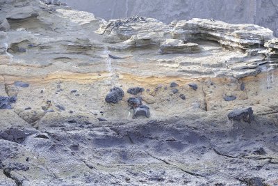 Rocks-051917-Isabela Island-#0968.jpg