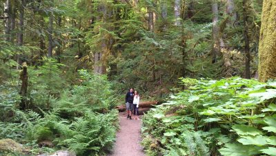 chrissy forrest olympic forest.jpg