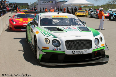 Alexandre Imperatori/Yufeng Luo    Absolute Racing Bentley Continental GT3 Absolute Racing,