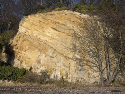 Ravenscraig Beach