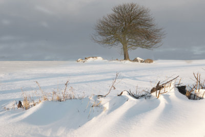 After the snow_DSC6122.jpg