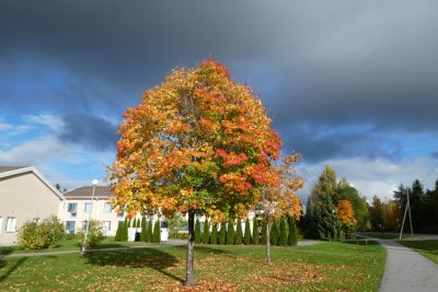 20171005