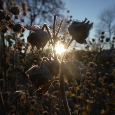 20171021