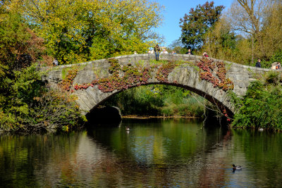 Central Park