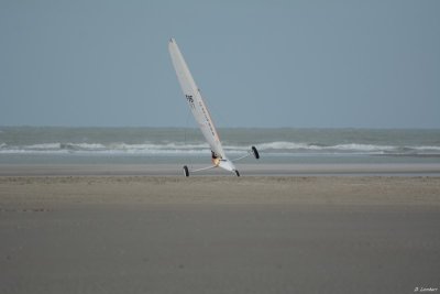 6H Berck D7-17_100 (800x600).JPG