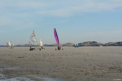 5 H D7-18_014 (800x600).JPG