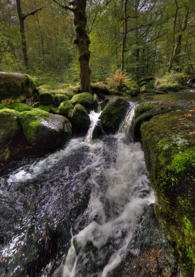 Promenade le long du ruisseau 