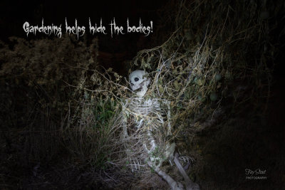 Gardening helps hide the bodies...