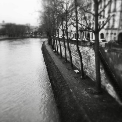 mise en Seine...