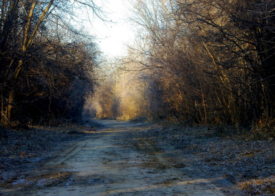 Arnold City Park