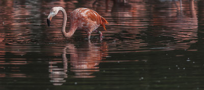 6 Reflective pair.jpg