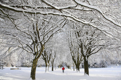 10 Betws Winter.jpg