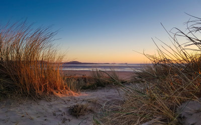 06 View through the Marram Grass.jpg