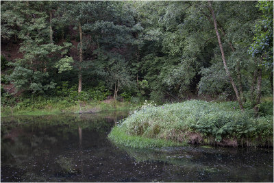 08 Woodland Water.jpg