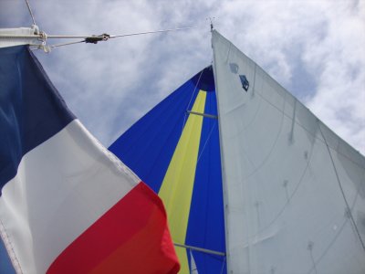 31 Sails.jpg