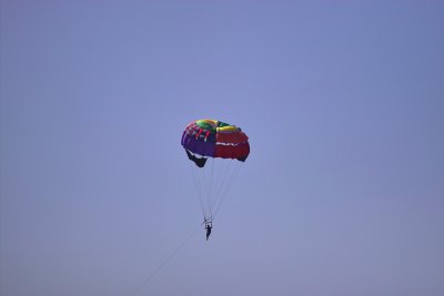 IMG01285.jpg