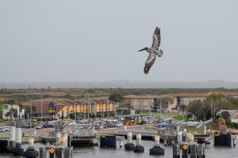 20180304 - Galviston TX - 086.jpg
