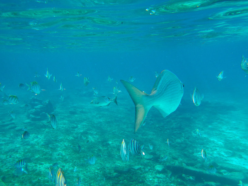 20180306 - Cozumel - 065.jpg