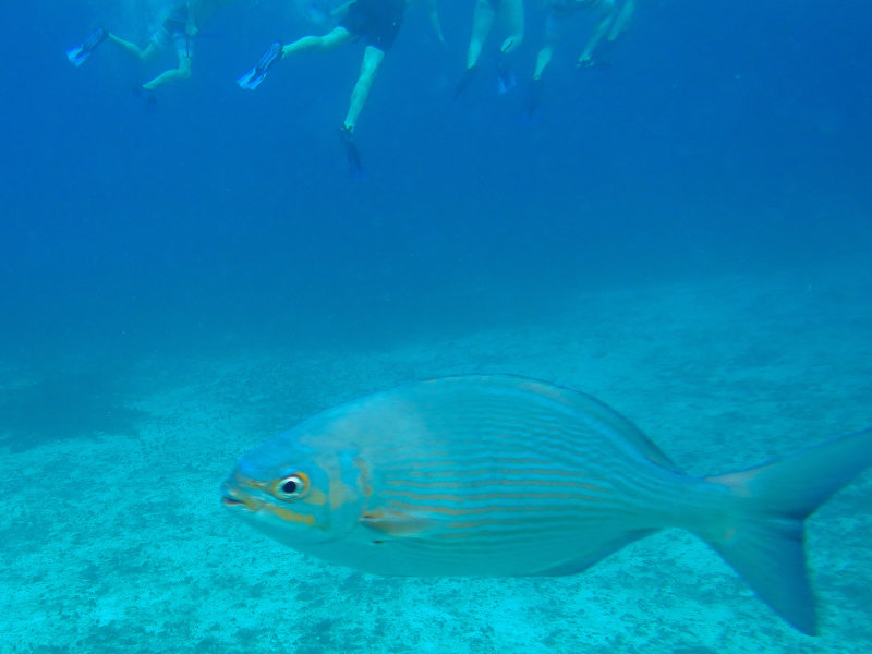 20180306 - Cozumel - 073.jpg