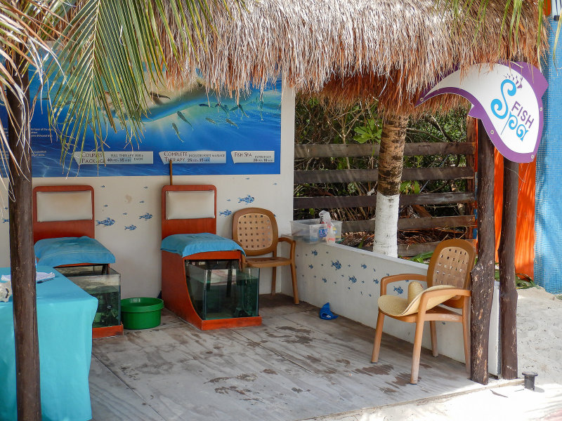 20180306 - Cozumel - 120.jpg