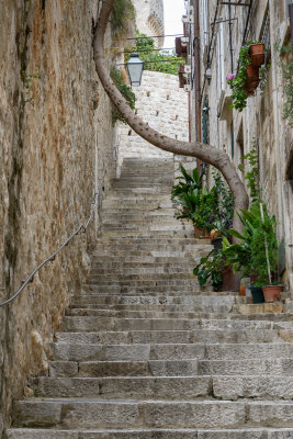 20171007 - Dubrovnik - 142.jpg