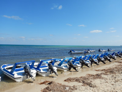 20180306 - Cozumel - 028.jpg