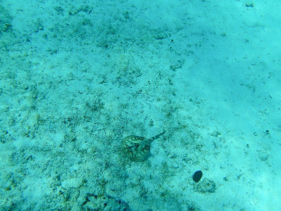 20180306 - Cozumel - 051.jpg