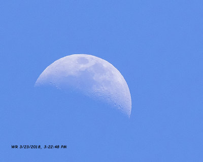 5F1A2901 moon.jpg