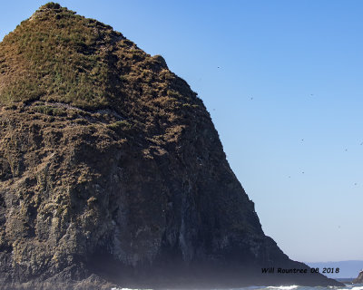 5F1A2253_Haystack_Rock_.jpg