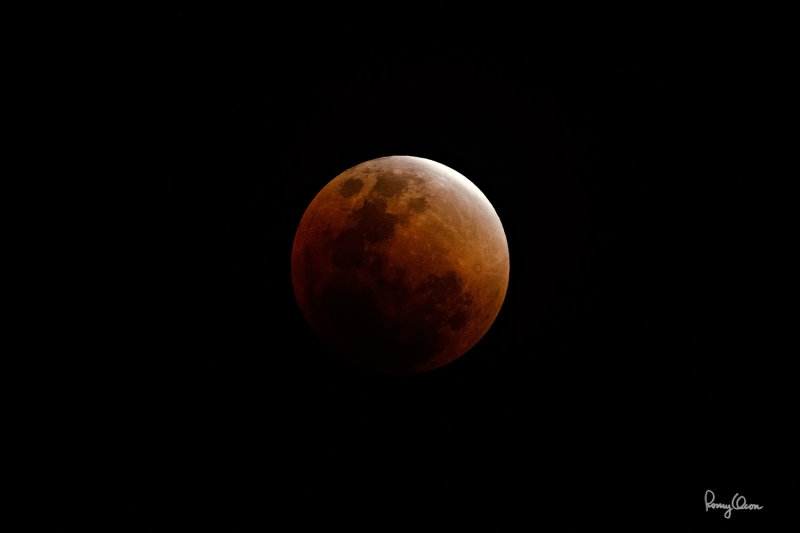 RO721141-1500x1000.jpg
