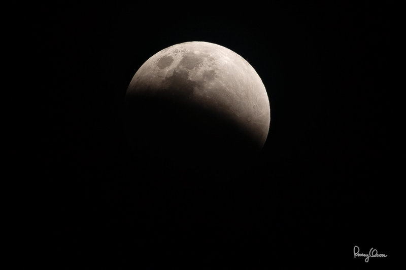 ROS03350-1200x800.jpg
