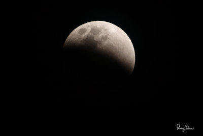 LUNAR ECLIPSE OF JAN. 31, 2018 (08:20:35 pm, Manila Time).
Observed from Rosario, La Union, Philippines, Sony RX10 Mark IV, Manfrotto 455B/Uniqball UBH45 support, 
600 mm equiv., f/5.6, ISO 100, 1/200 sec, manual exposure, cropped and resized to 1200 x 800. 