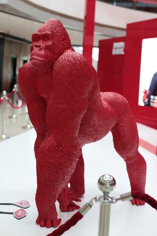 Questo gorilla in resina  un regalo che proviene da un set cinematografico. Si chiama Uri