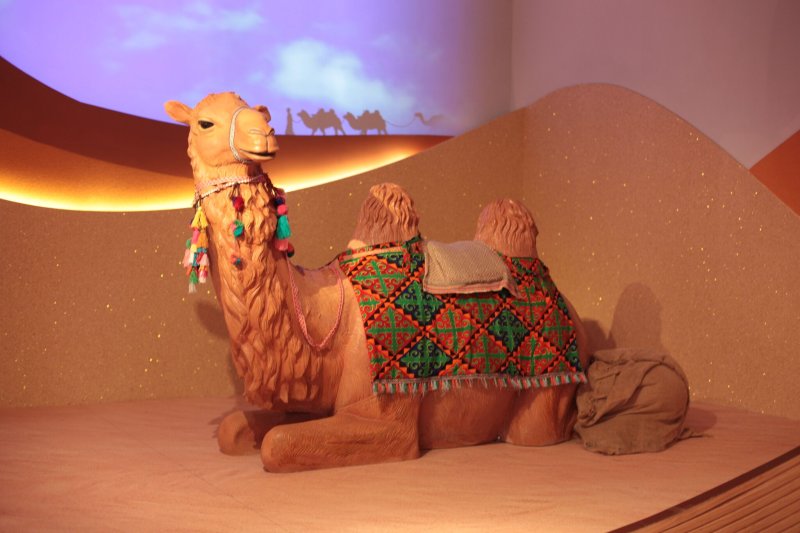 A Bactrian Camel