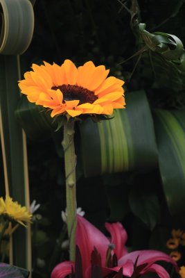 flower arrangement