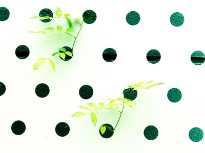 Circles and Plant