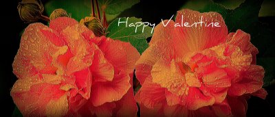 Happy Valentine 