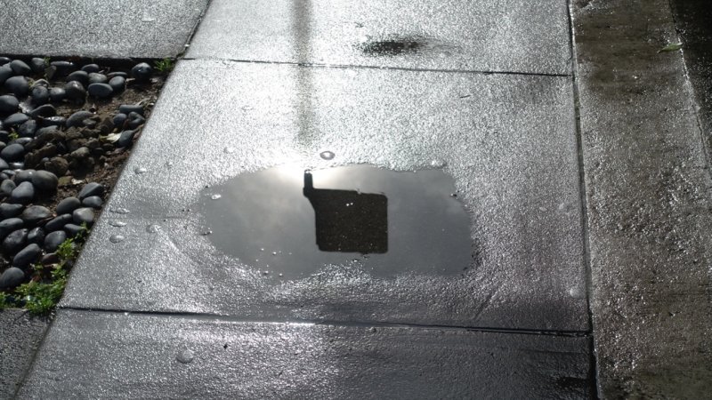 7th Street Puddle