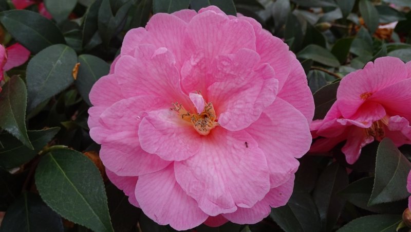 g10/41/570641/2/165169526.5hQ9dO1N.jpg