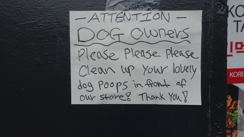 Attention Dog Owners