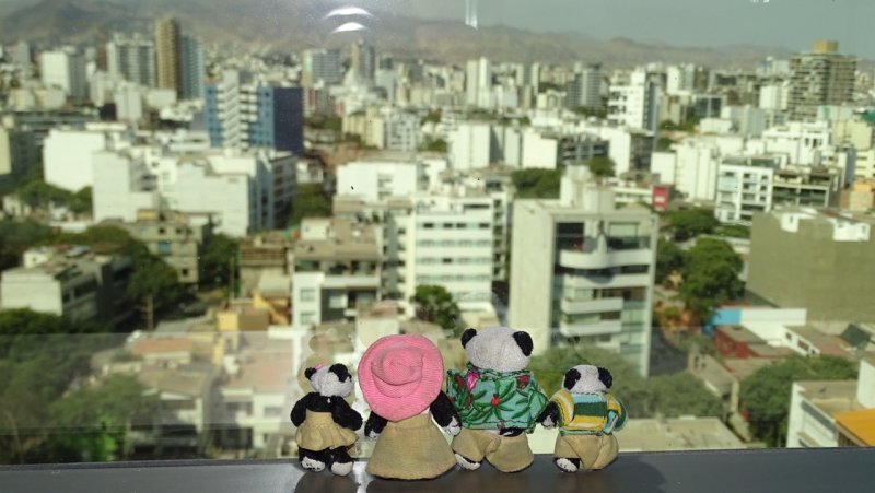 The Pandafords Overlooking Lima