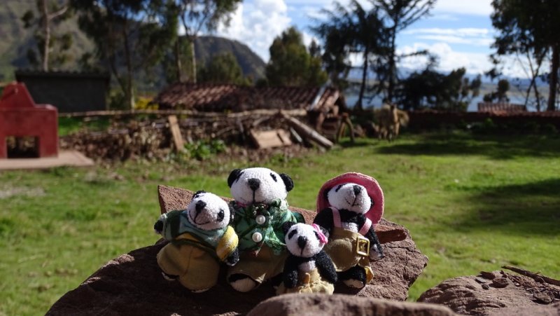 The Pandafords Visit a Chinchero Village in Peru
