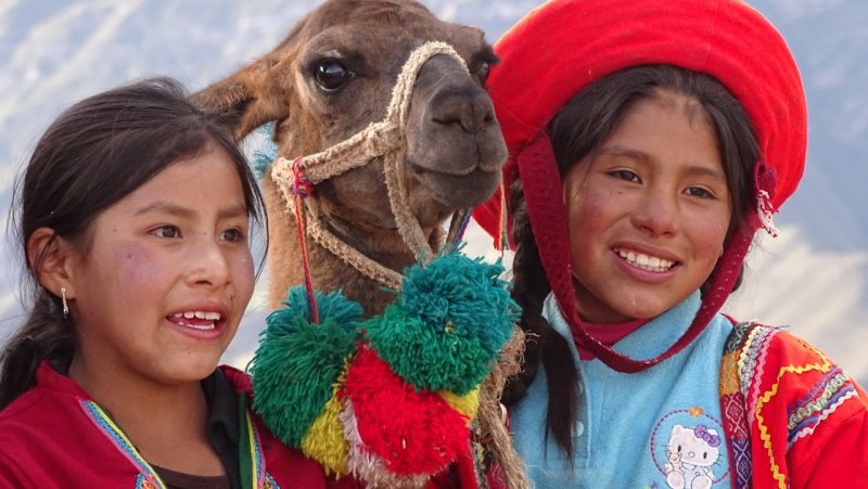 Girls posing with a llama