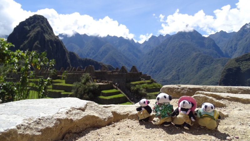 The Pandafords at Machu Picchu