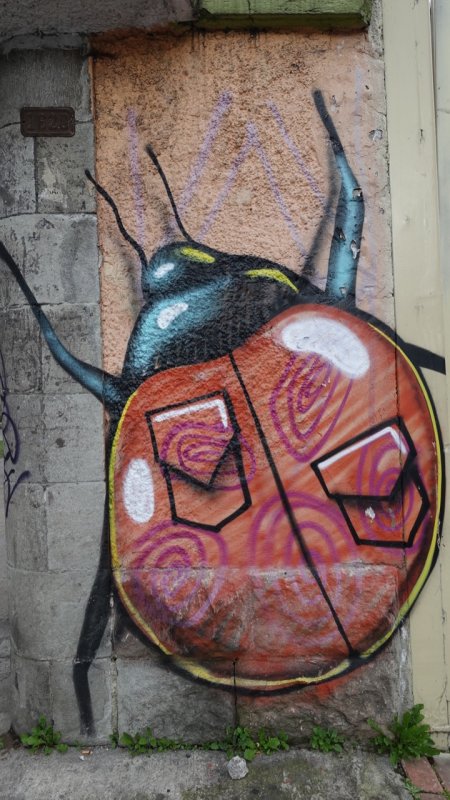 Ladybug Street Art