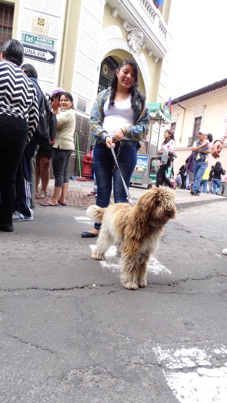 Dog and Owner enjoy Quito Historic center on a Sunday