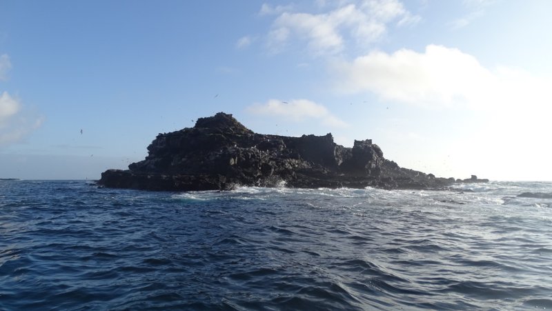 Small Island Near Punta Pitt