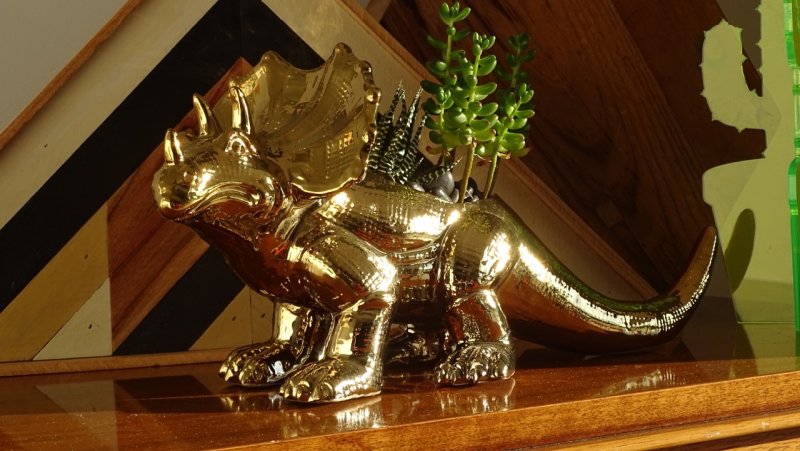 Cardiff Triceratops