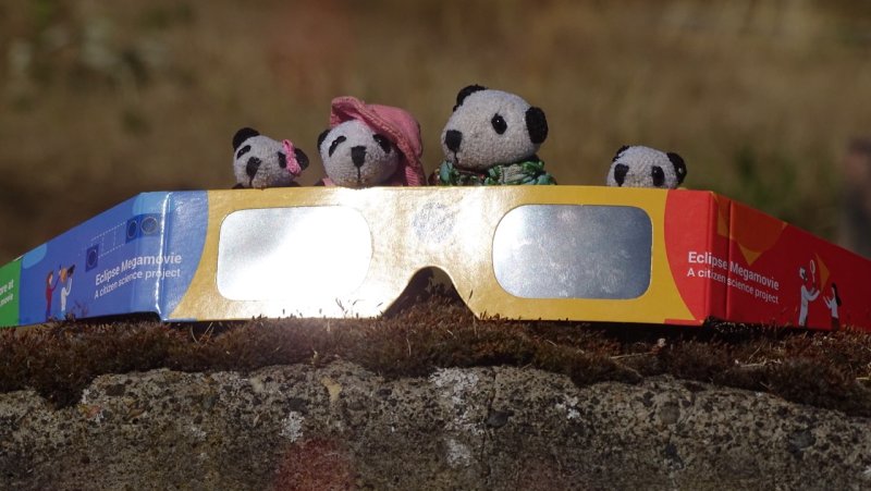 The Pandafords Viewing a Total Eclipse
